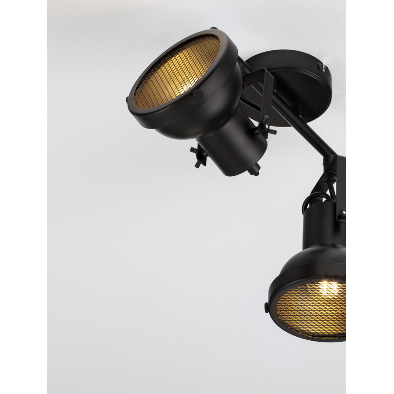 Celep Spotlight