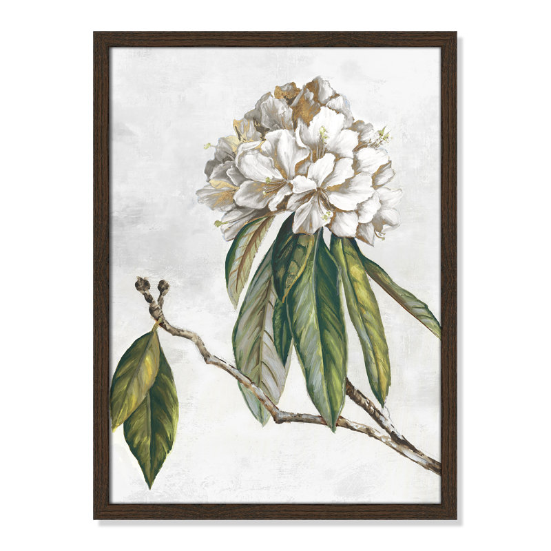 «Pearly Beauty II» par Eva Watts, L 17 po x H 23 po, Impression encadrée, Grain de bois noyer
