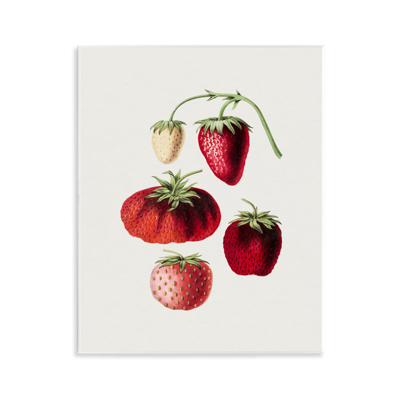 Art mural "Natural Berries Study" par lettré et doublé