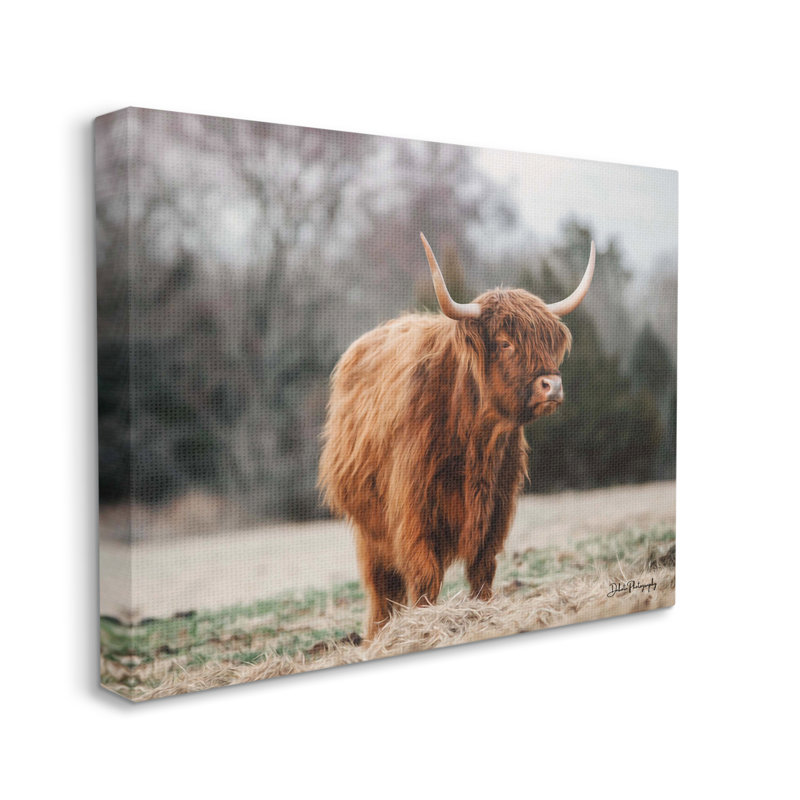 «Serene Highland Cattal Country Pasture Daylight Sun» par Dakota Diener - impression sur toile tendue