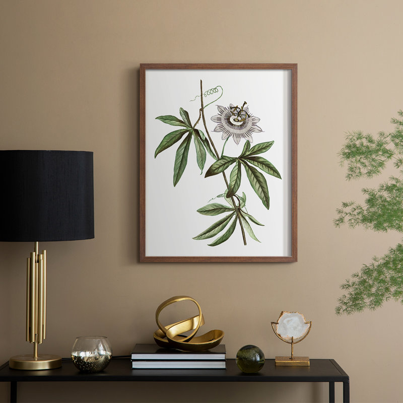 Tropical Botanical I, reproduction encadrée - bois massif, H 15 po x l 12 po, Noyer