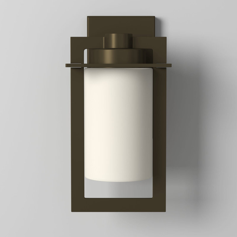 Lanterne murale d'extérieur Colfax, Incandescent, H 12,3 po x l 6 po