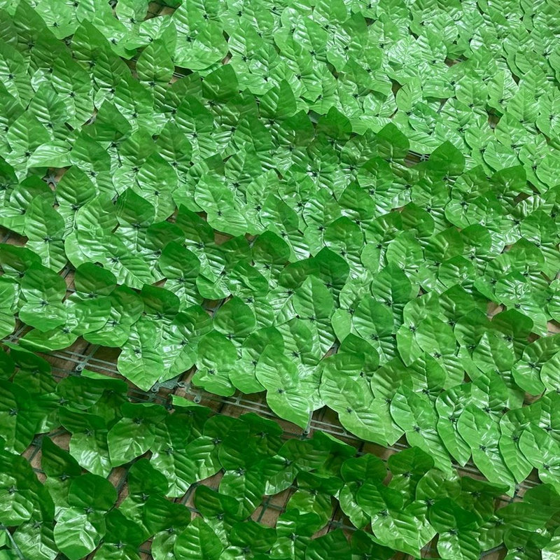 Newbill 120'' H x 40'' W Anti UV Plastic Expanding Trellis, Light Green