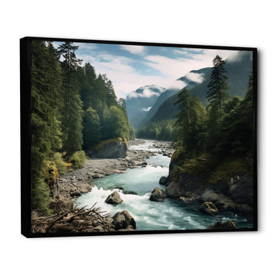 «Washington Mount Rainier National Park III - Washington», art mural encadré