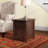 Larae Solid Wood Top End Table with Storage