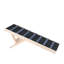 Rampe pour chien, rampe pliante pour animal de compagnie pour lit, rampe réglable pour petit, grand et vieux chien et chat