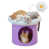 Mauve est en rupture de stock