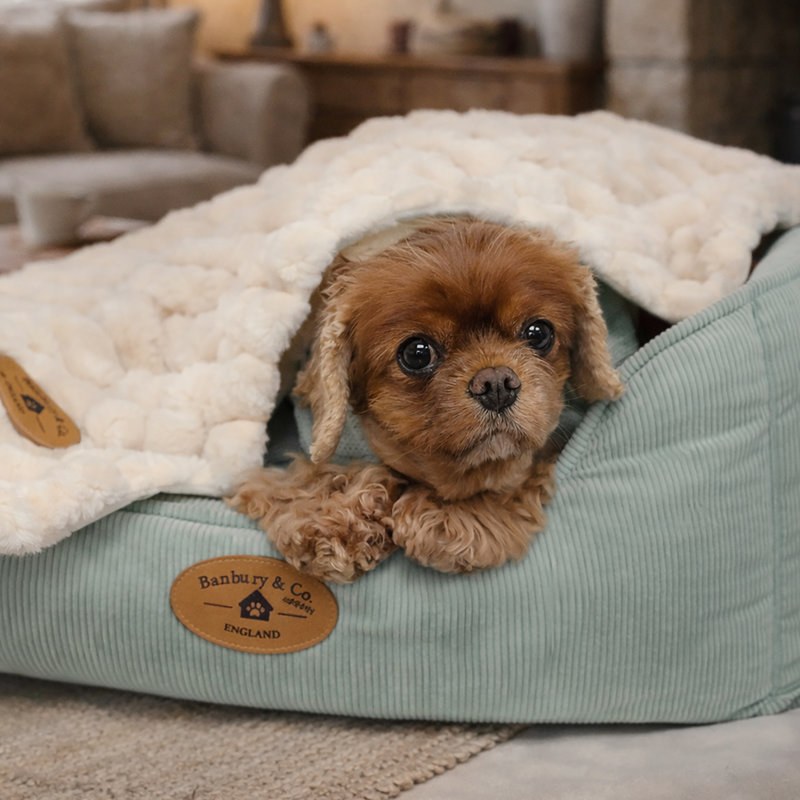 Rural Retreats Faux Fur Pet Blanket