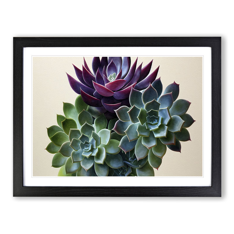 Watercolour Succulent Plant Vol.2 - Framed Print, Black, 46cm H x 64cm W