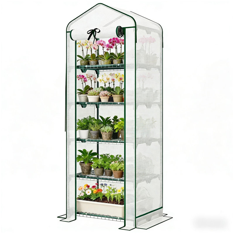 Petite serre portative, mini serre, étagère à plantes à cinq niveaux