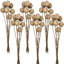 7 Piece Cane Ball Twig Stem   Set of 6   23.5"   Natural