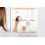 Magnetic Glass Dry Erase Board