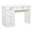 Fernandeo Metal Base Computer Desk-1350802000