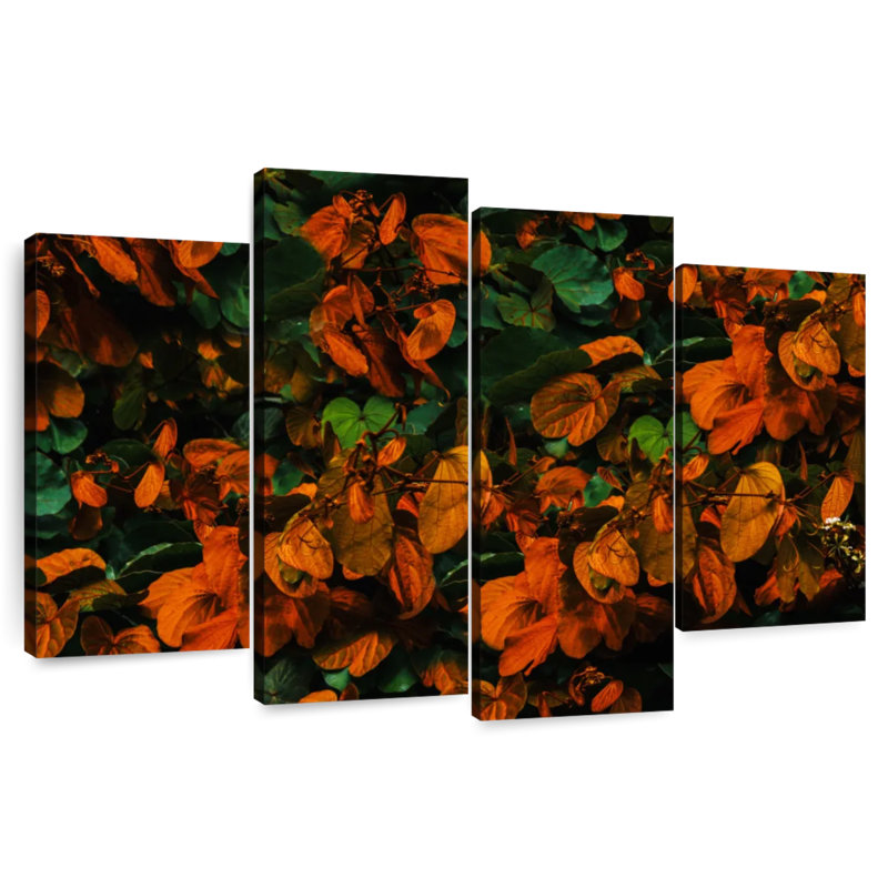 Vibrant Autumn Leaves