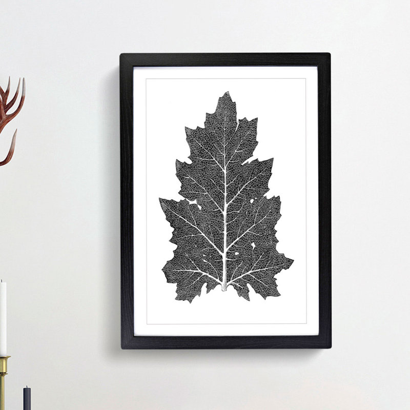 Illustration of a Leaf by Owen Jones - Framed Print, 60cm H x 40cm W x 2cm D, Black