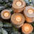 Wood Tabletop Candlestick-1356935337