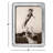 String Of Pearls Silver Metal Beaded Picture Frame-16568870