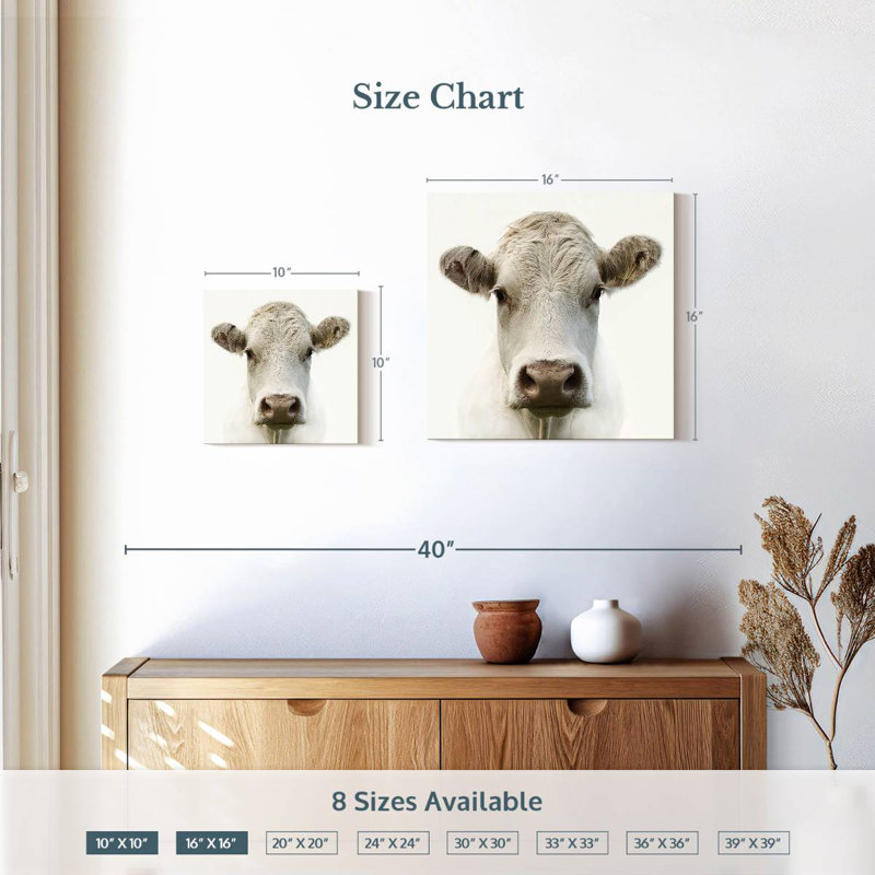 Charolais Cow, 16" H x 16" W