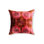 Minli Silk Square Pillow Cover & Insert