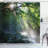 Shower Curtain-44324257