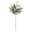 Botanica Stem