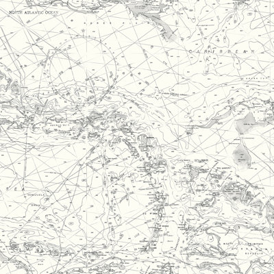 Chana Pre-pasted Nautical Map Wallpaper Roll