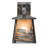 Steel/Brass Wall Light