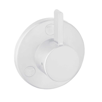Ecostat Modern Pressure Shower Faucet Trim