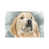Wrapped Canvas is unavailable