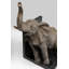 Bookend Elephants (2/Set)-63580139
