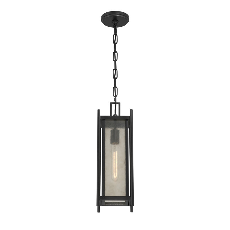 Torven 1-Light Outdoor Hanging Lantern in Matte Black, Matte Black