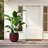 High-quality ceramic flower pots-901094561
