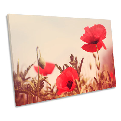 Vintage Poppy Flowers Floral - Wrapped Canvas Art Prints