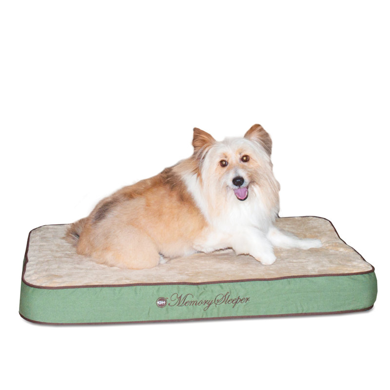 Orthopedic Pet Bed, Sage, Small