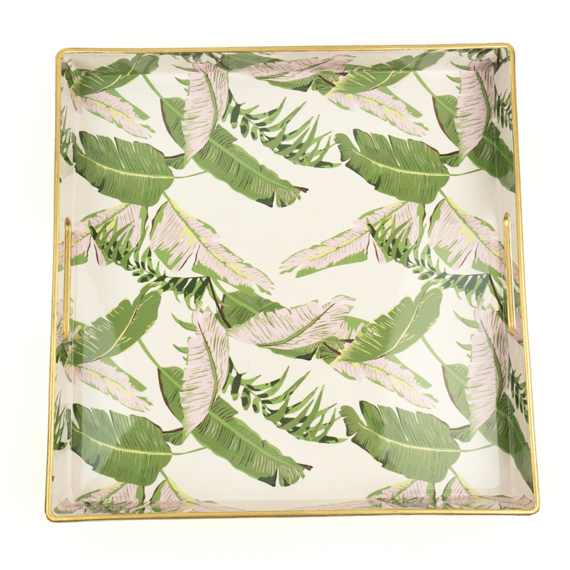 Aydelotte Plastic Tray