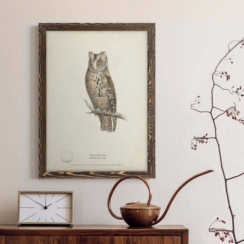 Scops - Toile encadrée de qualité supérieure - prêt à accrocher, Noyer, H 44 po x l 31 po x P 1 po