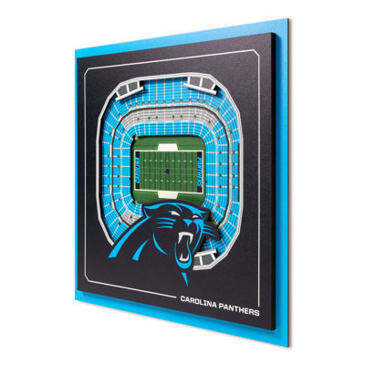 NFL Carolina Panthers Stadium Series 3D Wall Art