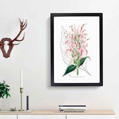 Pink Justicia Flowers - Framed Print