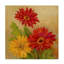 " Gerber Daisies " by Barbara Mock-31878255