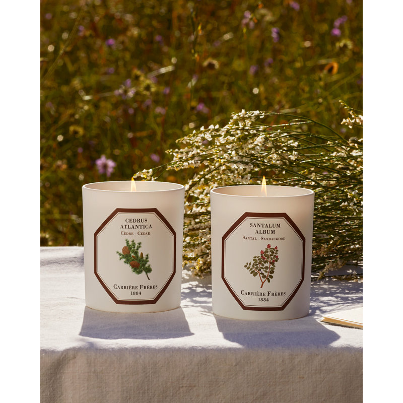 Cedar Candle