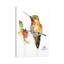 Colibri sur une branche - impression-52359529-52359524