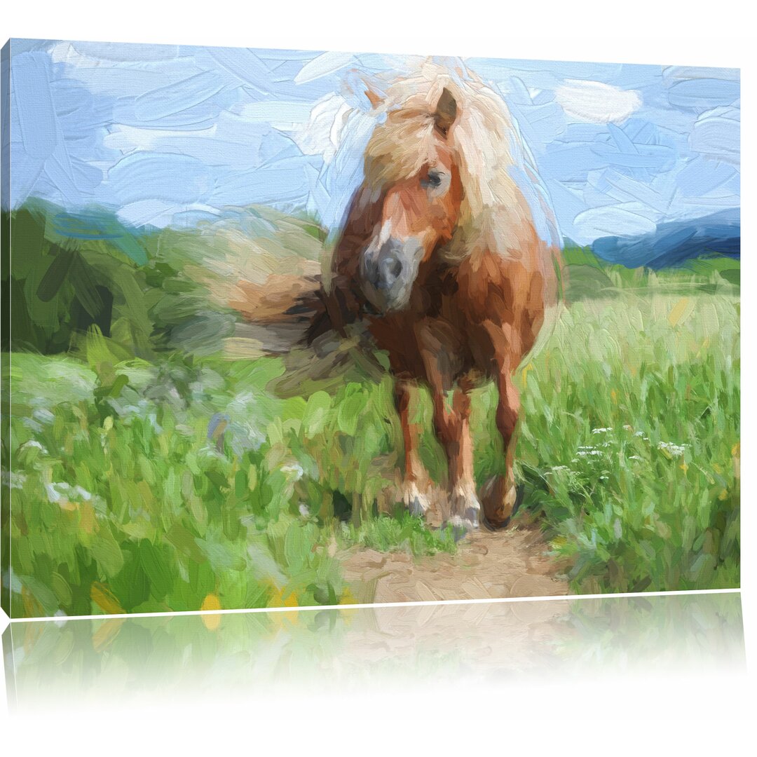 Leinwandbild "Shetlandpony auf der Wiese", Grafikdruck