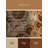 Machine Washable Paxton Bronze Medal Traditional Oriental Rug in Brown – Beige Binding-1732264294