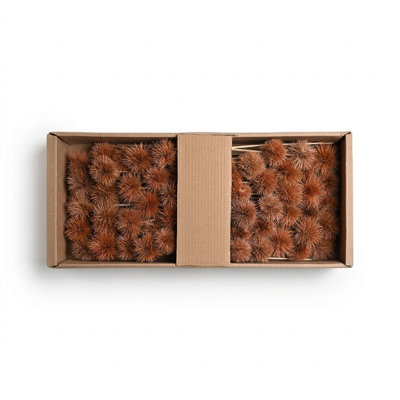 Kartoos On Stem 50Pc Tray