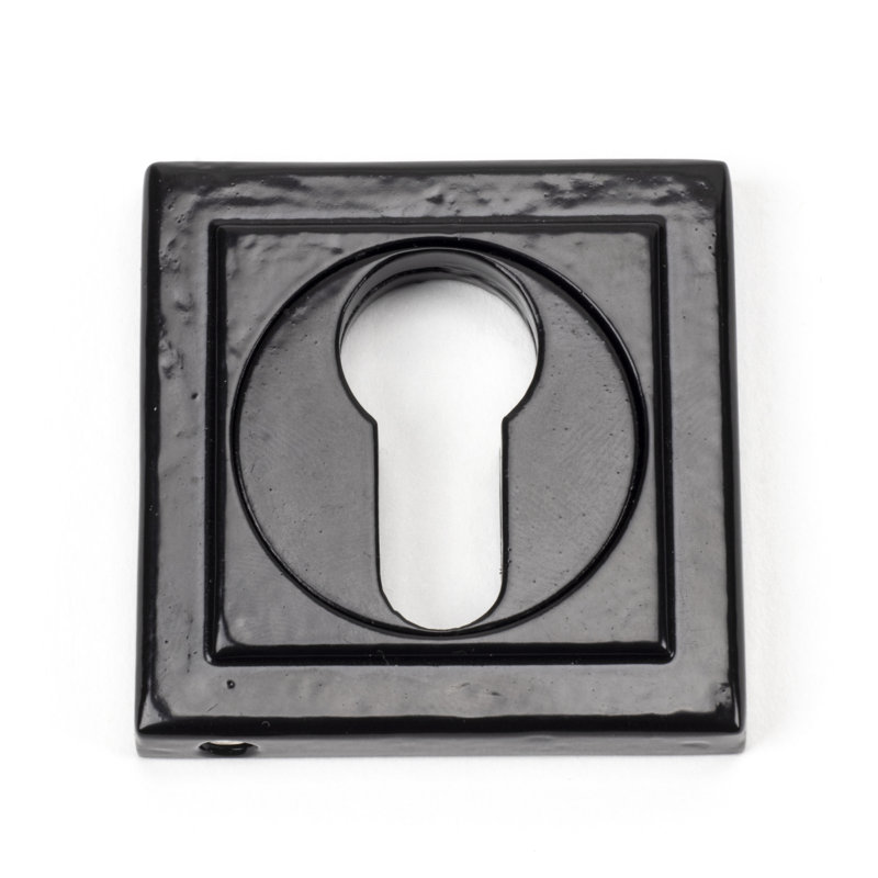 Concealed, Square Euro Escutcheon Door Accessory, Black