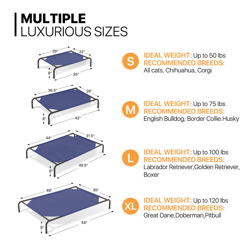 Small Navy Blue Elevated Outdoor Dog Bed with Steel Frame