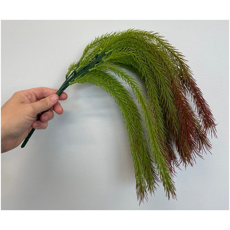 Plante grasse en cascade