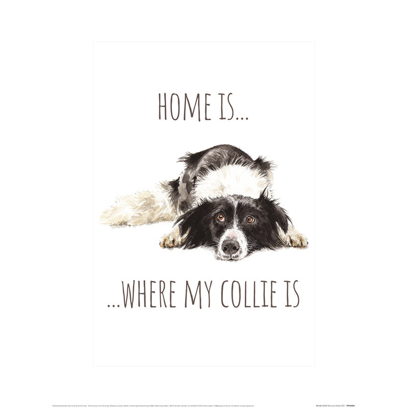 Border Collie by Louise Nisbet - No Frame Painting