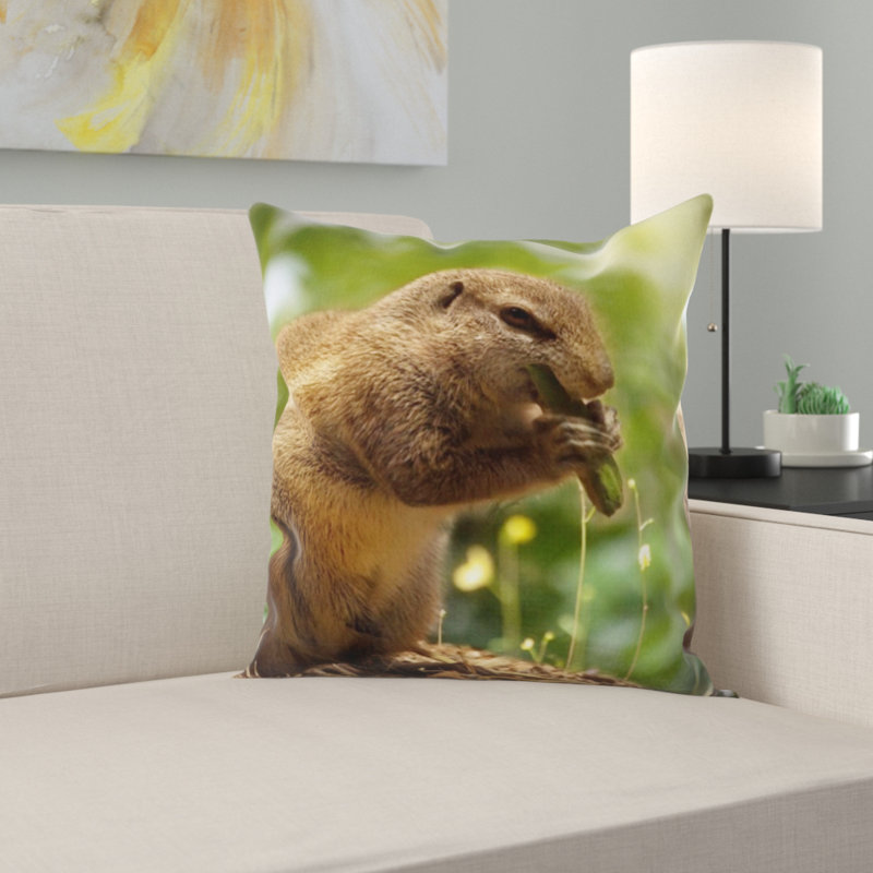 Coussin écureuil