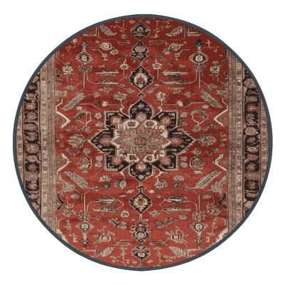Machine Washable Persian Brown Area Rug